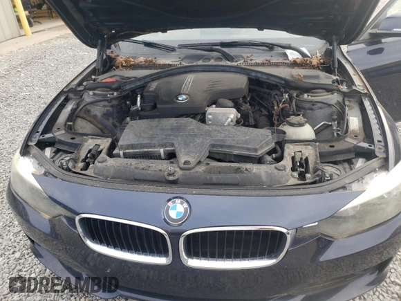 2013 BMW 3 Series 320i with VIN WBA3B1C56DF462132, listed as a Copart auction lot 50185695 with 114,274 mi miles and Salvage Title. Bid and sale history available at carsss.com. Image 11.