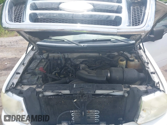 2007 Ford F-150 XLT z VIN 1FTRW12W67FB50327, wystawiony jako IAAI lot #42400863 z przebiegiem 231 181 mil mil oraz . Historia ofert i sprzedaży dostępna na DreamBid. Obrazek 10.