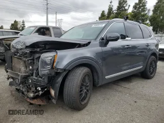 2020 Kia Telluride EX z VIN 5XYP3DHC3LG090920, wystawiony jako Copart lot #56005315 z przebiegiem 110 733 mil mil oraz Szkoda całkowita • Salvage title. Historia ofert i sprzedaży dostępna na DreamBid. Obrazek 1.