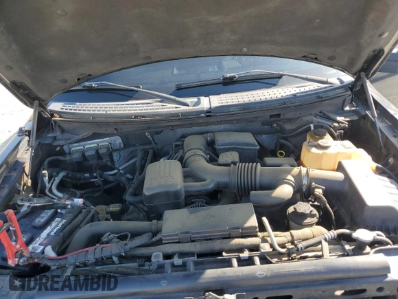 2010 Ford F-150 XL with VIN 1FTFW1EV7AFD74218, listed as a Copart auction lot 61984735 with 173,577 mi miles and Salvage title. Bid and sale history available at DreamBid. Image 11.