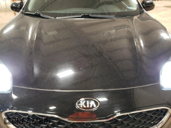 2021 Kia Sportage LX with VIN KNDPM3AC3M7844446, listed as a Copart auction lot 52189735 with 43,814 mi miles and Clean Title. Bid and sale history available at carsss.com. Image 14.
