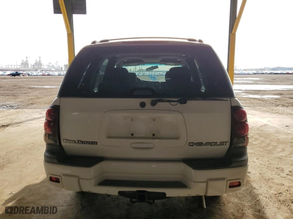2002 Chevrolet TrailBlazer LS with VIN 1GNDT13S022192689, listed as a Copart auction lot 48826935 with 242,509 mi miles and Salvage Title. Bid and sale history available at carsss.com. Image 6.