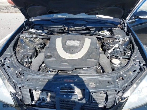 2009 Mercedes-Benz S-Class 5.5L V8 with VIN WDDNG86X19A239123, listed as a IAAI auction lot 41981456 with 120,975 mi miles. Bid and sale history available at carsss.com. Image 10.