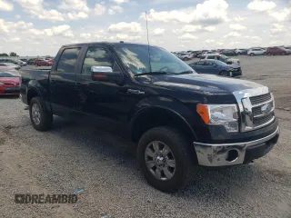 2009 Ford F-150 XL with VIN 1FTPW14V09FB25728, listed as a Copart auction lot 61993255 with 342,183 mi miles and Salvage title. Bid and sale history available at DreamBid. Image 4.