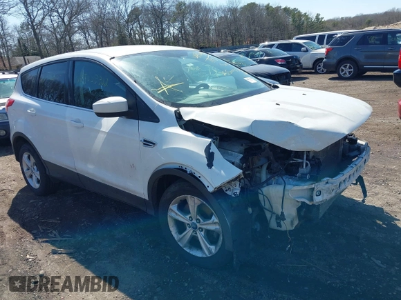 2013 Ford Escape SE with VIN 1FMCU9GX6DUA61596, listed as a IAAI auction lot 41924999 with Not Provided miles and . Bid and sale history available at DreamBid. Image 1.