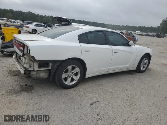 2014 Dodge Charger SE with VIN 2C3CDXBG9EH129799, listed as a Copart auction lot 50556275 with 167,061 mi miles and Salvage Title. Bid and sale history available at DreamBid. Image 3.