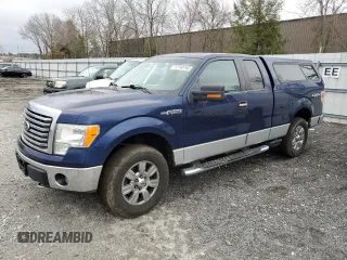 2010 Ford F-150 XL with VIN 1FTEX1E81AFB18871, listed as a Copart auction lot 51140165 with 163,462 mi miles and Clean Title. Bid and sale history available at carsss.com. Image 1.