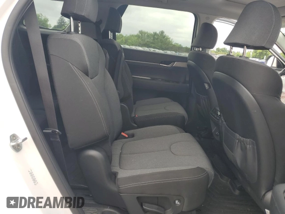 2020 Hyundai Palisade SEL with VIN KM8R2DHE5LU088545, listed as a Copart auction lot 60095485 with 55,331 mi miles and Salvage title. Bid and sale history available at DreamBid. Image 11.