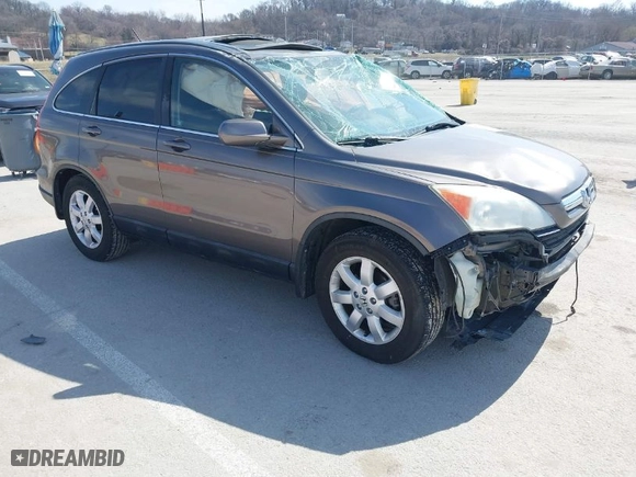 2009 Honda CR-V EX-L with VIN 5J6RE487X9L055661, listed as a IAAI auction lot 41784412 with 208,214 mi miles. Bid and sale history available at carsss.com. Image 1.