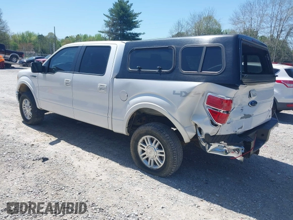 2010 Ford F-150 XL with VIN 1FTFW1EV3AKE16813, listed as a IAAI auction lot 41999051 with 206,457 mi miles. Bid and sale history available at carsss.com. Image 3.