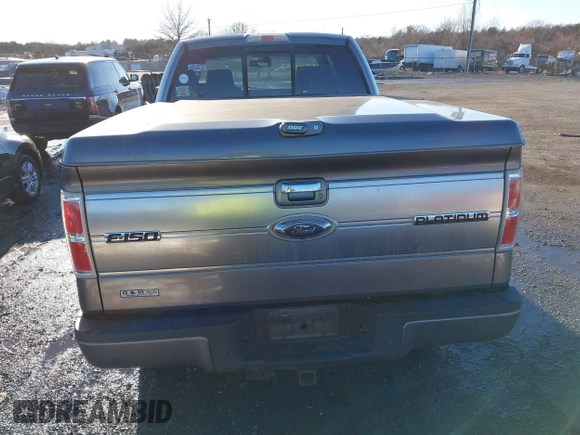 2009 Ford F-150 XL with VIN 1FTPW14VX9FA67580, listed as a IAAI auction lot 41567442 with 171,122 mi miles and . Bid and sale history available at DreamBid. Image 16.