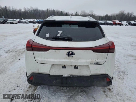 2021 Lexus UX 250h с VIN JTHP9JBH6M2039598, выставлен на аукционе Copart как лот 43122745 с пробегом 66 383 миль миль и Списание • Salvage title. История ставок и продаж доступна на DreamBid. Изображение 6.