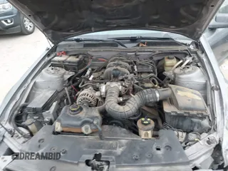 2006 Ford Mustang Standard with VIN 1ZVFT84N565190246, listed as a IAAI auction lot 41532901 with 209,885 mi miles and . Bid and sale history available at carsss.com. Image 10.