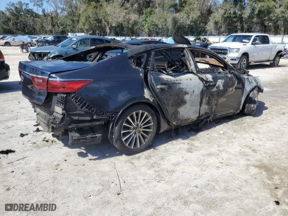 2017 Kia Cadenza Premium with VIN KNALC4J19H5080879, listed as a Copart auction lot 46231335 with 0 mi miles and Non Repairable. Bid and sale history available at carsss.com. Image 3.