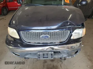 1999 Ford F-150 XL z VIN 1FTRX08L8XKB19026, wystawiony jako Copart lot #64831635 z przebiegiem 160 384 mil mil oraz Nie do naprawy • Non repairable. Historia ofert i sprzedaży dostępna na DreamBid. Obrazek 11.