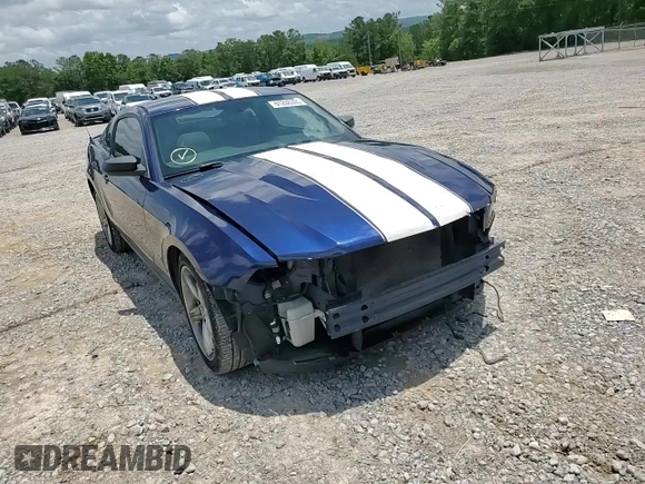 2012 Ford Mustang Premium с VIN 1ZVBP8AMXC5255571, выставлен на аукционе Copart как лот 61208395 с пробегом 176 102 миль миль и Списание • Salvage title. История ставок и продаж доступна на DreamBid. Изображение 13.