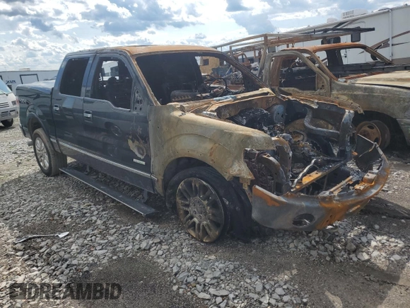 2013 Ford F-150 XL with VIN 1FTFW1ET8DFB64228, listed as a Copart auction lot 58772755 with Not provided miles and Salvage title. Bid and sale history available at DreamBid. Image 4.