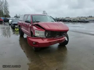 2010 Dodge Dakota Bighorn/Lonestar with VIN 1D7CW3GK4AS225411, listed as a Copart auction lot 48084595 with 0 mi miles and Salvage Title. Bid and sale history available at carsss.com. Image 15.