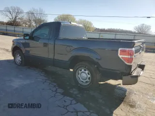 2013 Ford F-150 XL with VIN 1FTMF1CM9DKD34252, listed as a Copart auction lot 49175385 with 215,746 mi miles and Salvage Title. Bid and sale history available at carsss.com. Image 2.