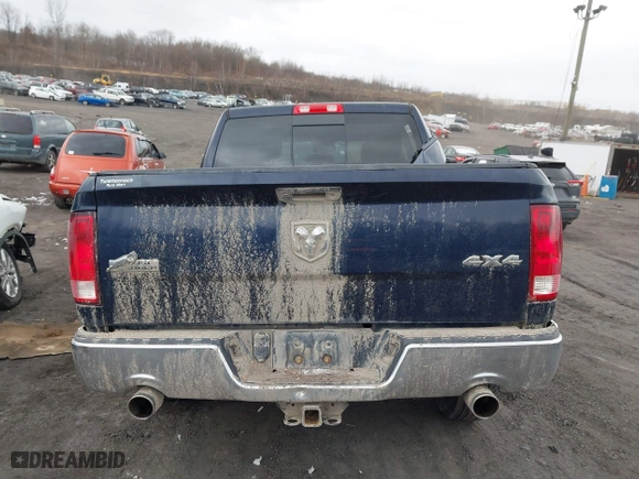 2015 Ram 1500 Big Horn with VIN 3C6RR7LT0FG500344, listed as a IAAI auction lot 41621460 with 133,043 mi miles. Bid and sale history available at carsss.com. Image 16.
