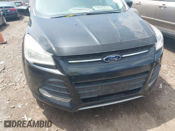 2013 Ford Escape SE z VIN 1FMCU0GXXDUB62281, wystawiony jako IAAI lot #42680002 z przebiegiem 223 654 mil mil oraz . Historia ofert i sprzedaży dostępna na DreamBid. Obrazek 12.