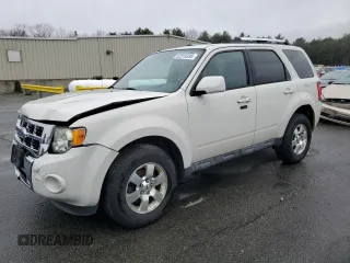 2011 Ford Escape Limited with VIN 1FMCU0EG6BKC43631, listed as a Copart auction lot 52919395 with 156,389 mi miles and Salvage Title. Bid and sale history available at carsss.com. Image 1.