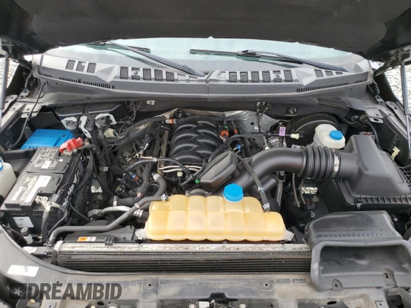 2019 Ford F-150 XL with VIN 1FTEW1C54KKC39558, listed as a Copart auction lot 46695815 with 146,507 mi miles and Salvage Title. Bid and sale history available at DreamBid. Image 12.