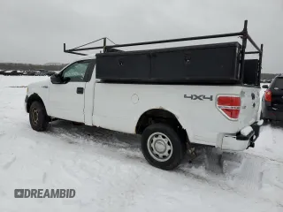 2010 Ford F-150 XL with VIN 1FTMF1EW9AKE40887, listed as a Copart auction lot 87595615 with 161,115 mi miles and Clean Title. Bid and sale history available at DreamBid. Image 2.