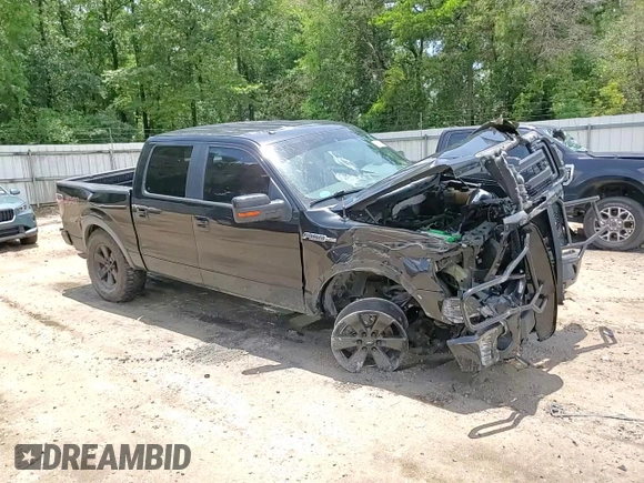 2014 Ford F-150 XL with VIN 1FTFW1EF7EFA05843, listed as a Copart auction lot 60824685 with 170,071 mi miles and Salvage title. Bid and sale history available at DreamBid. Image 13.