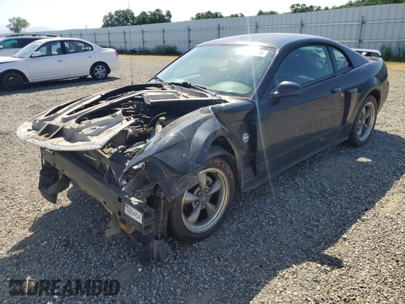 2004 Ford Mustang GT Deluxe z VIN 1FAFP42X64F137315, wystawiony jako Copart lot #52577925 z przebiegiem 210 557 mil mil oraz Szkoda całkowita • Salvage title. Historia ofert i sprzedaży dostępna na DreamBid. Obrazek 1.