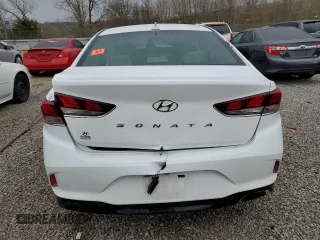 2019 Hyundai Sonata SEL with VIN 5NPE34AF1KH762699, listed as a Copart auction lot 49857895 with Not Provided miles and Non Repairable. Bid and sale history available at DreamBid. Image 6.