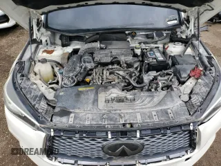 2019 Infiniti QX50 LUXE with VIN 3PCAJ5M13KF137147, listed as a Copart auction lot 53788435 with Not Provided miles and Clean Title. Bid and sale history available at carsss.com. Image 12.