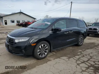 2022 Honda Odyssey EX-L with VIN 5FNRL6H70NB031177, listed as a Copart auction lot 51262515 with 53,629 mi miles and Salvage Title. Bid and sale history available at DreamBid. Image 1.