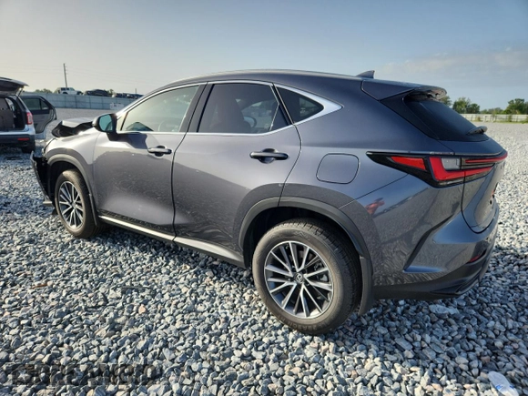 2022 Lexus NX 350 Premium with VIN JTJGGCEZ6N2005411, listed as a Copart auction lot 60074135 with 12,781 mi miles and Salvage title. Bid and sale history available at DreamBid. Image 2.