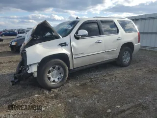 2007 Cadillac Escalade z VIN 1GYFK63837R412700, wystawiony jako Copart lot #49874845 z przebiegiem Nie podano mil oraz Szkody całkowita. Historia ofert i sprzedaży dostępna na DreamBid. Obrazek 1.