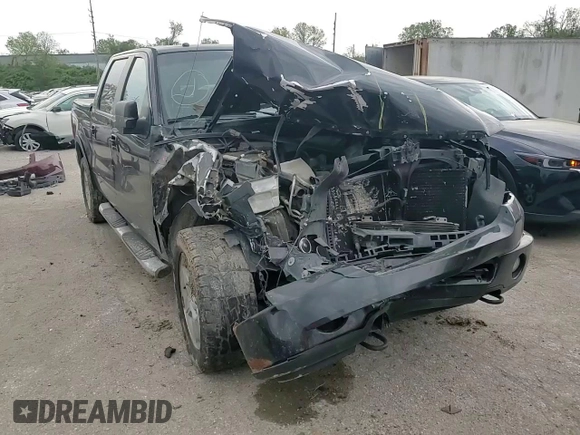 2007 Ford F-150 XLT with VIN 1FTPW14V87FB87620, listed as a Copart auction lot 51281844 with 0 mi miles and Salvage Title. Bid and sale history available at carsss.com. Image 10.