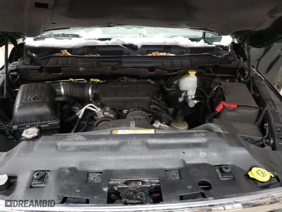 2010 Dodge Ram 1500 SLT with VIN 1D7RB1GP9AS160044, listed as a Copart auction lot 49856695 with 158,501 mi miles and Clean Title. Bid and sale history available at carsss.com. Image 13.