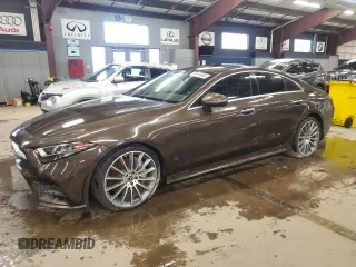 2019 Mercedes-Benz CLS with VIN WDD2J5JB2KA028193, listed as a Copart auction lot 44910485 with 66,844 mi miles and Clean Title. Bid and sale history available at carsss.com. Image 1.