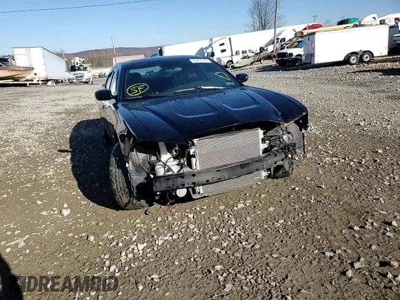 2013 Dodge Charger RT Plus with VIN 2C3CDXDT7DH683772, listed as a Copart auction lot 49431355 with 46,686 mi miles and Salvage Title. Bid and sale history available at carsss.com. Image 14.