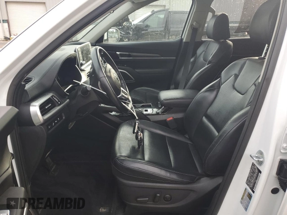2020 Kia Telluride S with VIN 5XYP6DHC1LG004043, listed as a Copart auction lot 53561515 with 50,232 mi miles and Non Repairable. Bid and sale history available at DreamBid. Image 7.