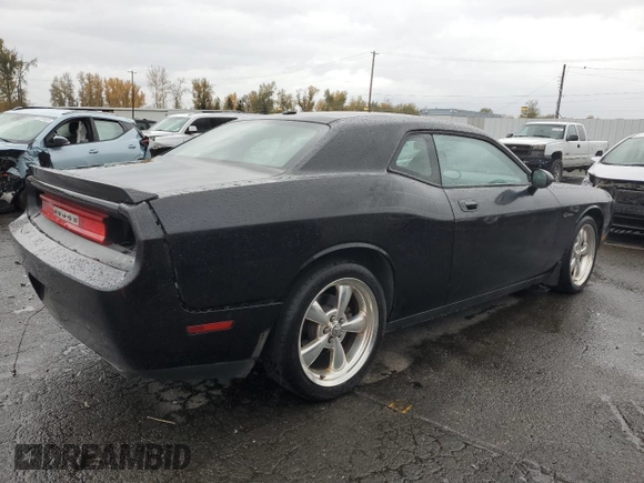 2010 Dodge Challenger R/T z VIN 2B3CJ5DT8AH241086, wystawiony jako Copart lot #80115224 z przebiegiem 110 689 mil mil oraz Szkoda całkowita • Salvage title. Historia ofert i sprzedaży dostępna na DreamBid. Obrazek 3.