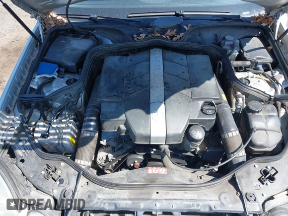 2005 Mercedes-Benz E-Class 3.2L with VIN WDBUF65J15A669561, listed as a IAAI auction lot 41888887 with 87,317 mi miles. Bid and sale history available at carsss.com. Image 10.