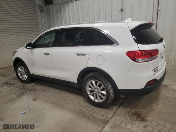 2017 Kia Sorento LX with VIN 5XYPGDA38HG298409, listed as a Copart auction lot 49749315 with 46,986 mi miles and Clean Title. Bid and sale history available at carsss.com. Image 2.