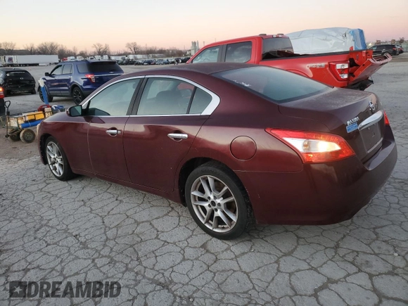 2011 Nissan Maxima SV with VIN 1N4AA5AP1BC813493, listed as a Copart auction lot 84300764 with 179,308 mi miles and Salvage title. Bid and sale history available at DreamBid. Image 2.
