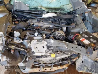 2003 Ford Mustang Standard with VIN 1FAFP40483F307018, listed as a Copart auction lot 60787495 with Not provided miles and Non repairable. Bid and sale history available at DreamBid. Image 11.