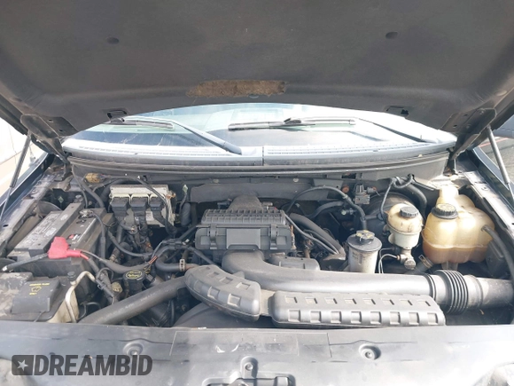 2005 Ford F-150 XLT with VIN 1FTPX14525NB79271, listed as a IAAI auction lot 42683475 with 171,897 mi miles and . Bid and sale history available at DreamBid. Image 10.