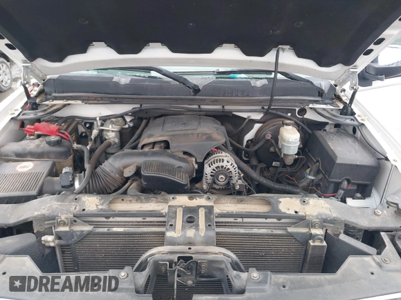 2010 Chevrolet Silverado 1500 with VIN 1GCSCPE09AZ283481, listed as a IAAI auction lot 41627885 with 159,773 mi miles and . Bid and sale history available at DreamBid. Image 10.