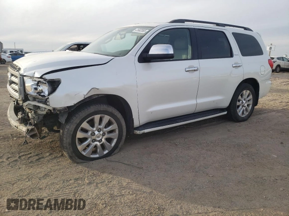 2010 Toyota Sequoia Platinum with VIN 5TDDW5G1XAS036174, listed as a Copart auction lot 41662065 with 238,295 mi miles and Salvage Title. Bid and sale history available at carsss.com. Image 1.