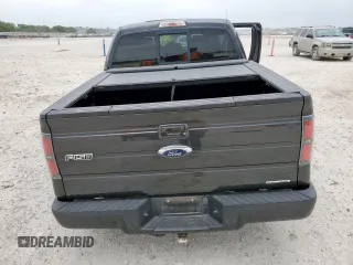 2012 Ford F-150 XL z VIN 1FTFW1CF0CFA70050, wystawiony jako Copart lot #57764625 z przebiegiem 167 943 mil mil oraz Szkody całkowita. Historia ofert i sprzedaży dostępna na DreamBid. Obrazek 6.