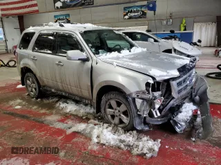 2009 Ford Escape Limited with VIN 1FMCU94729KD05445, listed as a Copart auction lot 87660645 with 149,523 mi miles and Salvage title. Bid and sale history available at DreamBid. Image 4.